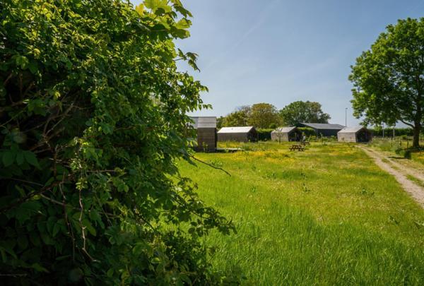 Natuurhuisjes Lust En Last Sommelsdijk Exterior foto