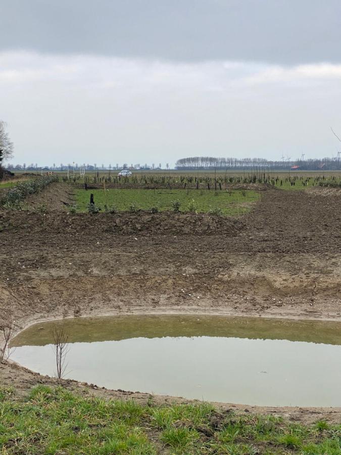 Natuurhuisjes Lust En Last Sommelsdijk Exterior foto